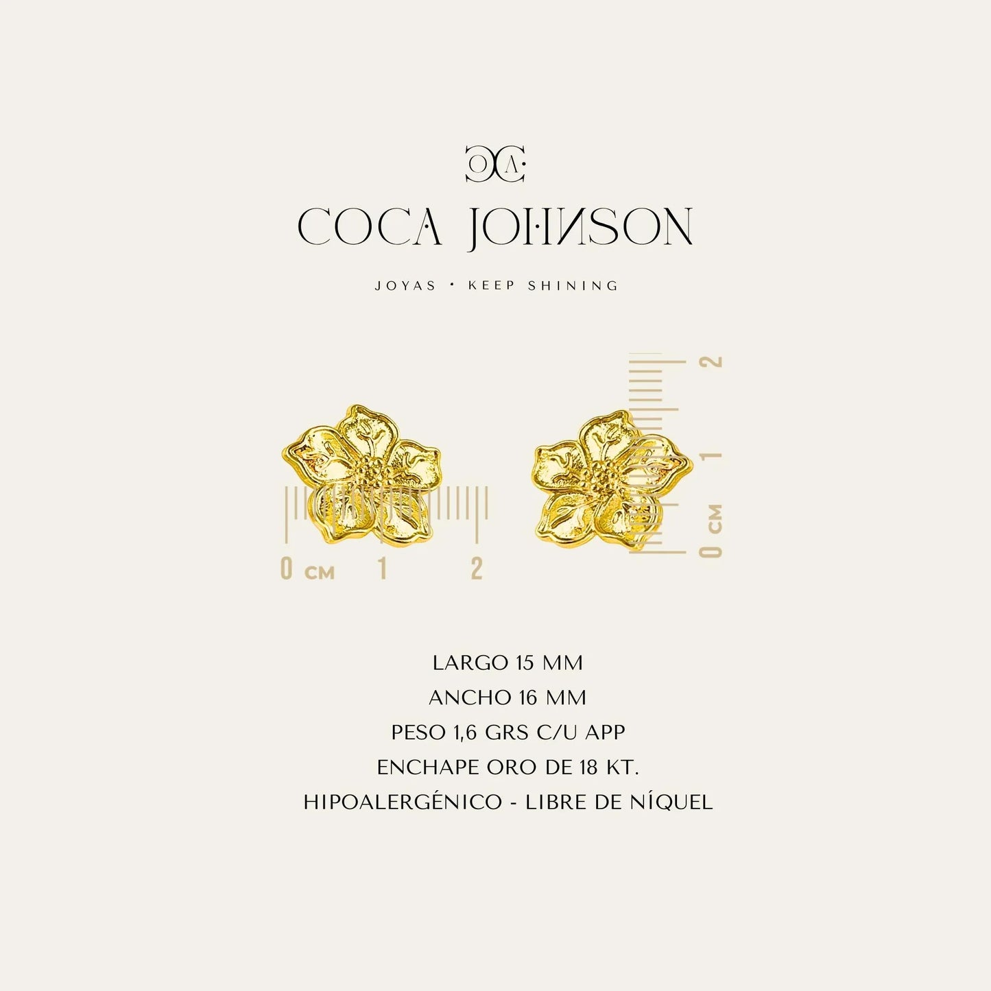 Aros_Daniela_Caracteristicas_Tecnicas_Resumen - Coca Johnson Joyas - Chile
