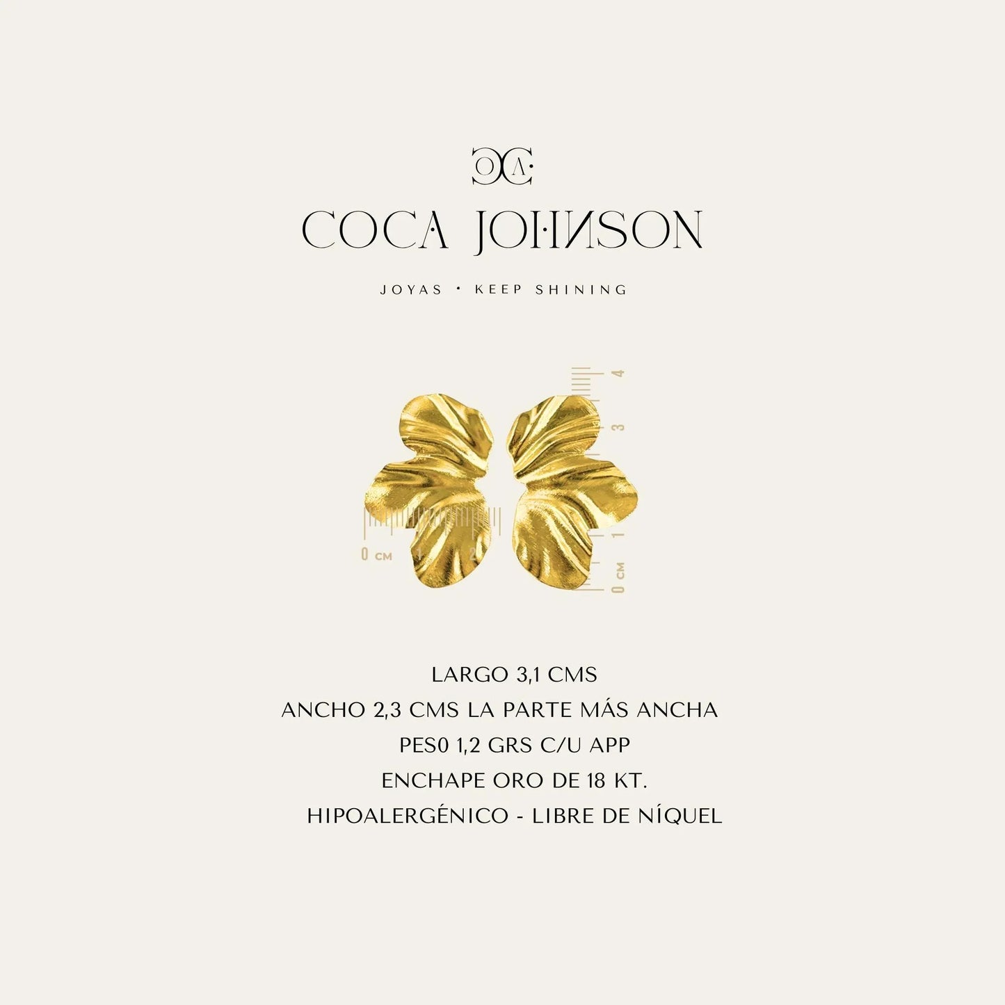 Aros_Carla_Caracteristicas_Tecnicas_Resumen - Coca Johnson Joyas - Chile